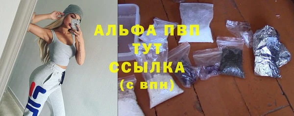 стафф Заволжск