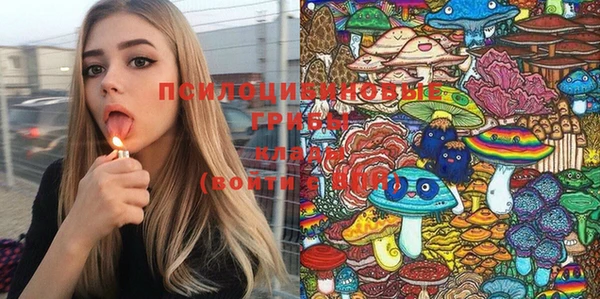 MDMA Заводоуковск